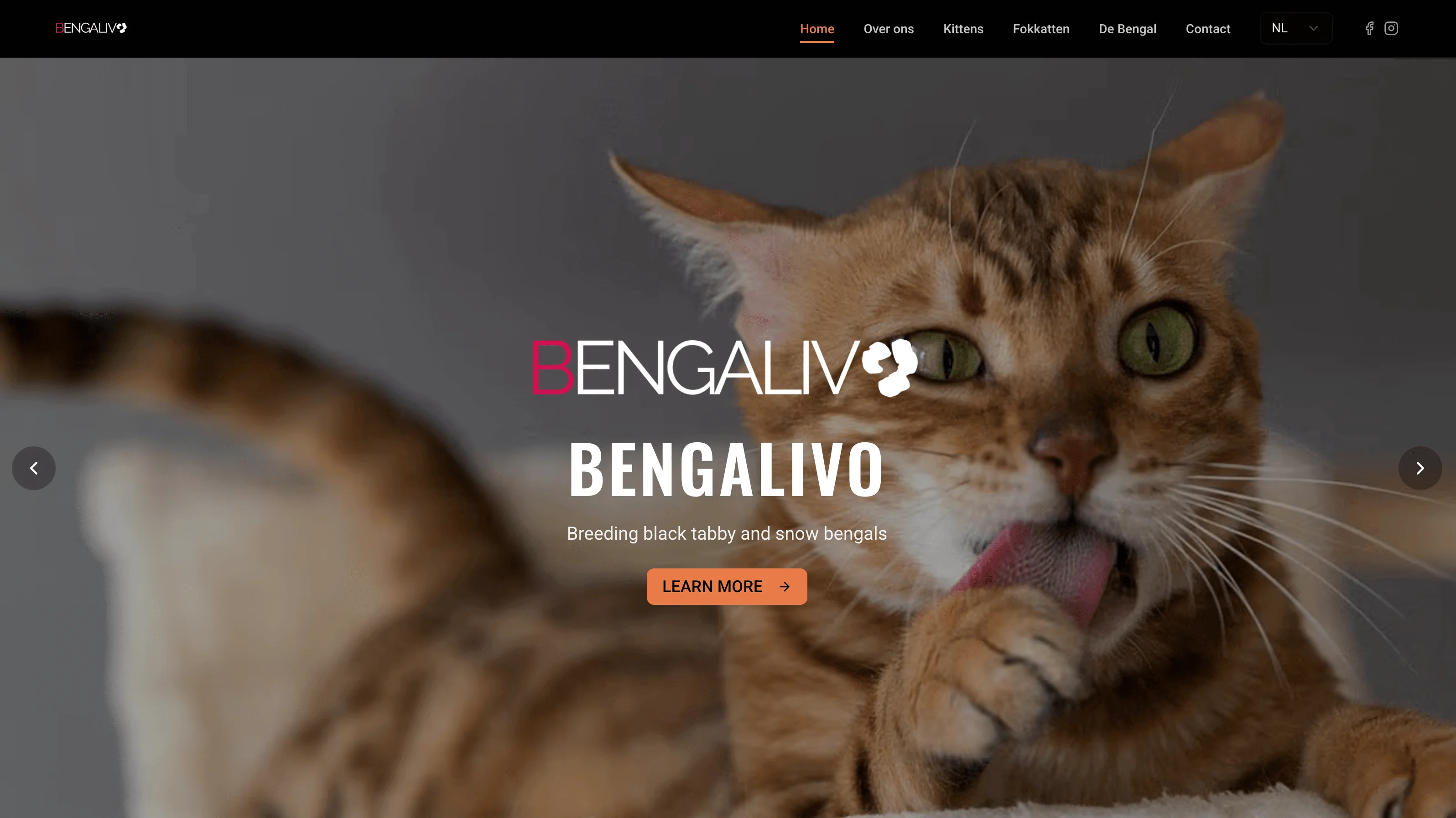 Bengalivo - Complete Website Redesign